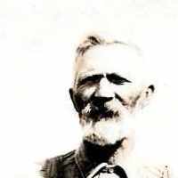 Adolphus Demont Webb (1847 - 1924) Profile